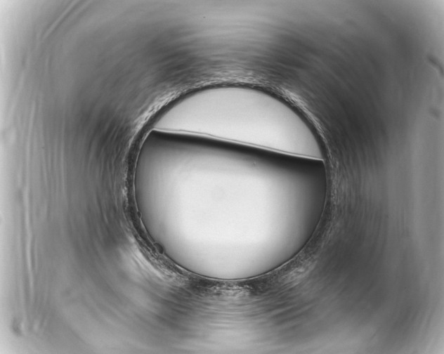 X0000100210443200805300729