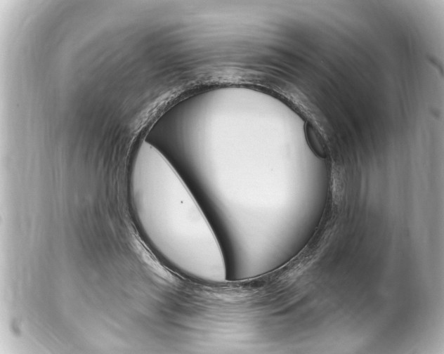 X0000100210445200805300729