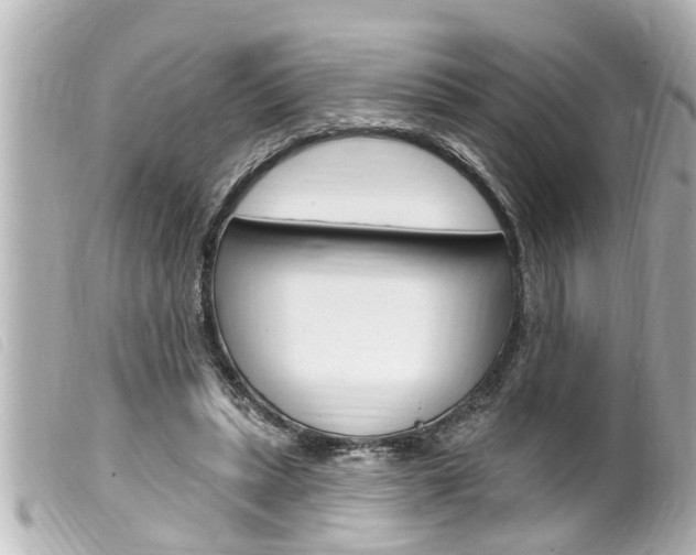 X0000100210447200805300729