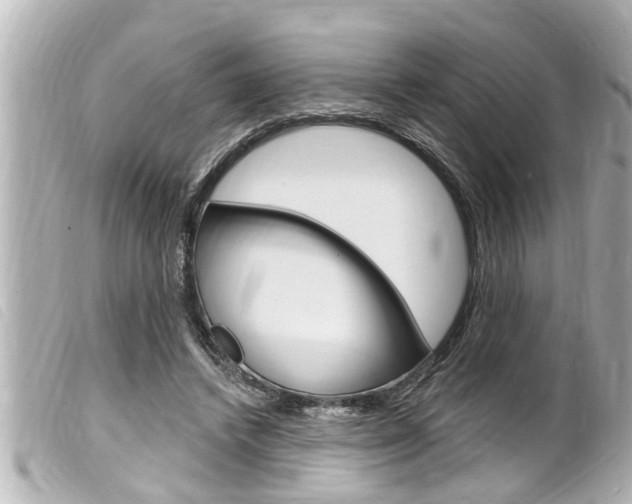 X0000100210448200805300729