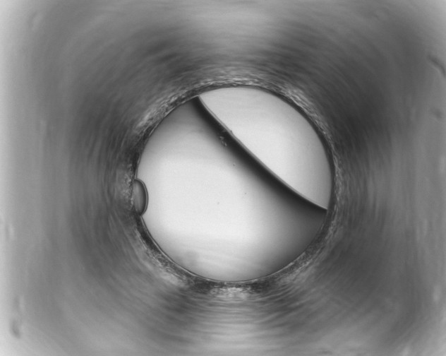 X0000100210449200805300729