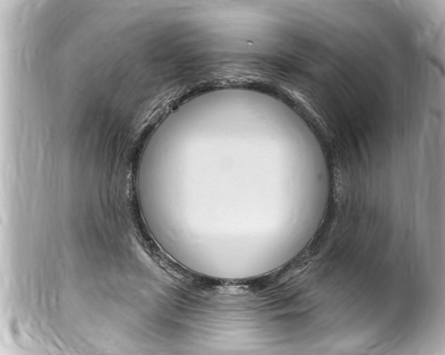 X0000100210451200805300729
