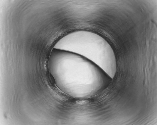 X0000100210452200805300729