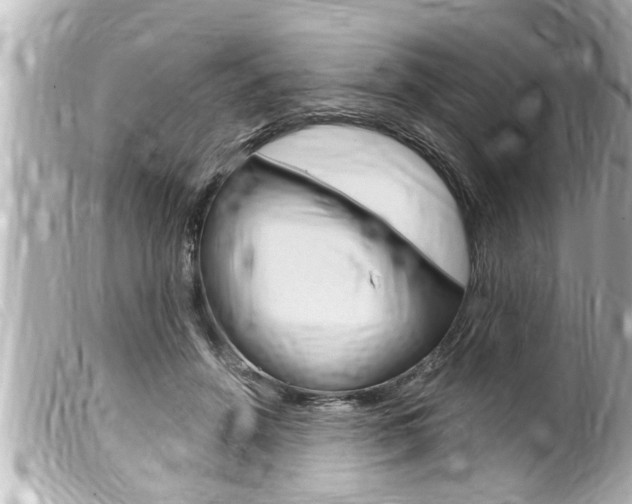 X0000100210456200805300729