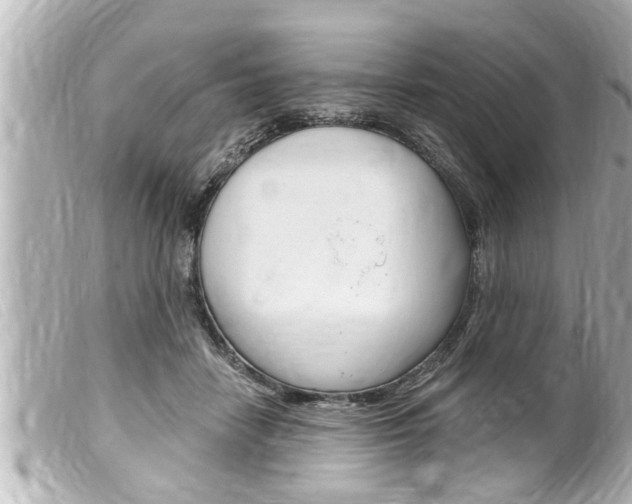 X0000100210458200805300729