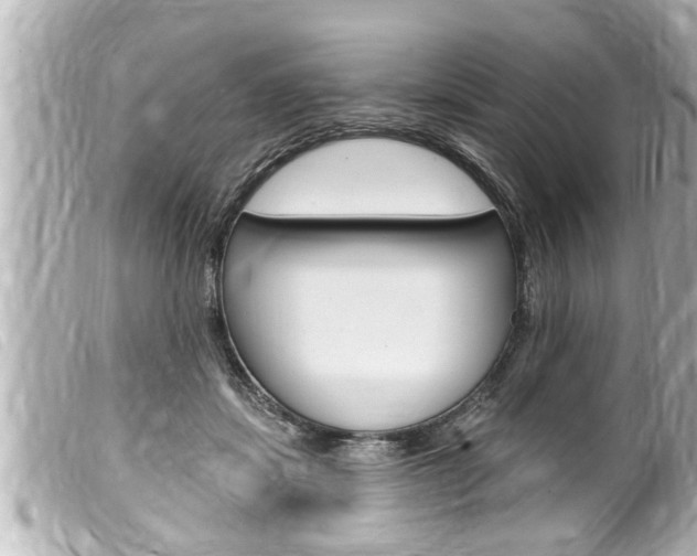 X0000100210459200805300729