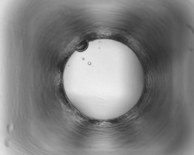 X0000100210463200805300729