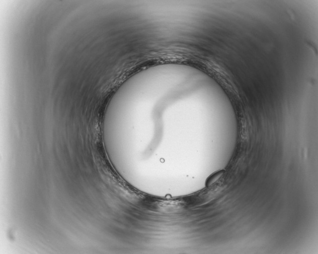 X0000100210465200805300729