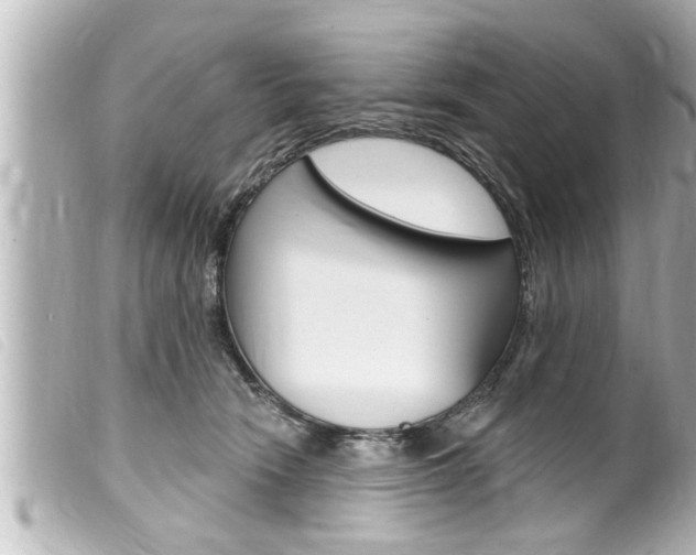 X0000100210466200805300729
