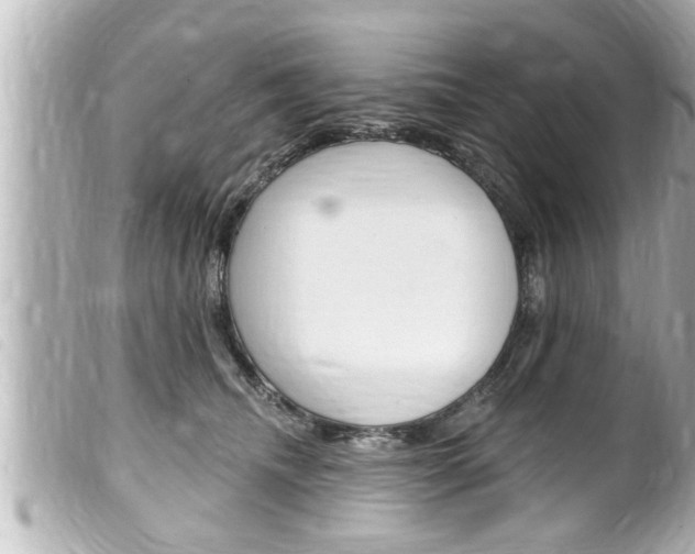 X0000100210468200805300729