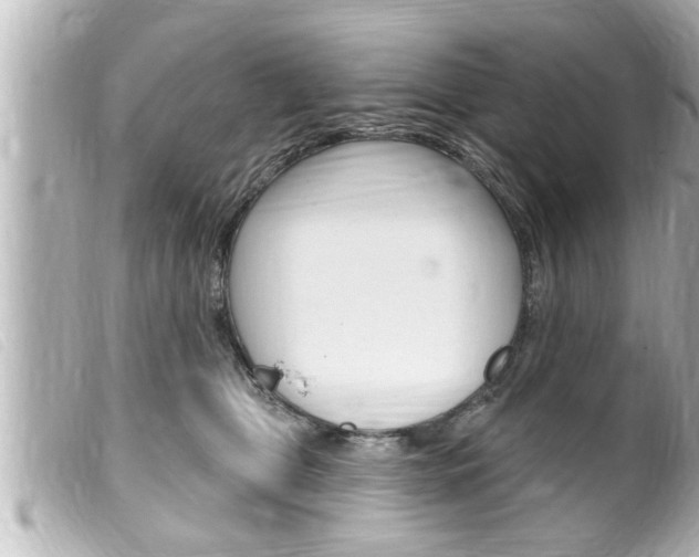 X0000100210469200805300730