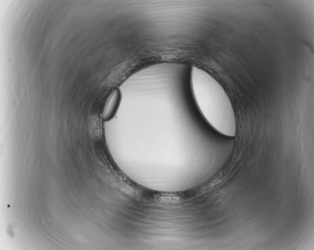 X0000100210471200805300730