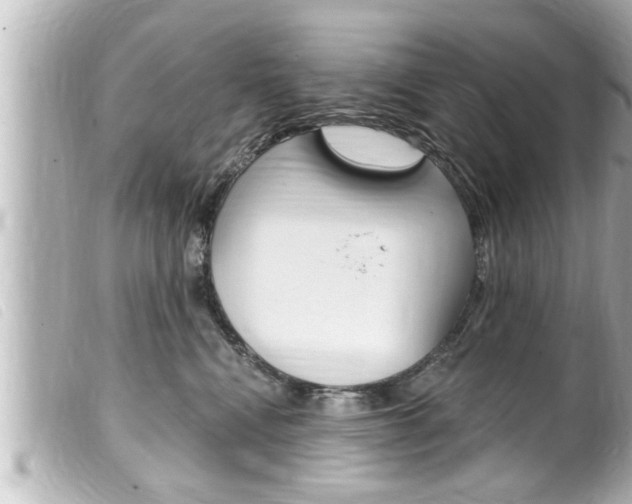 X0000100210472200805300730