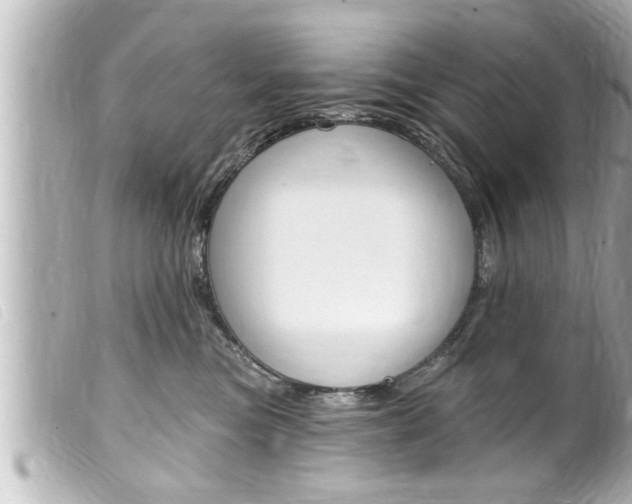 X0000100210473200805300730