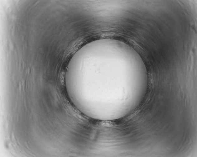 X0000100210475200805300730
