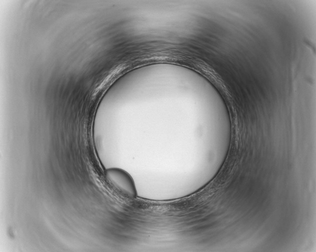 X0000100210482200805300729