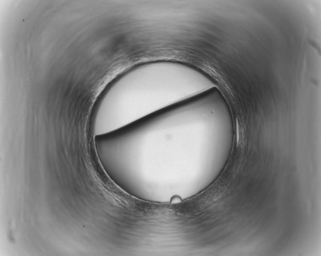 X0000100210483200805300729
