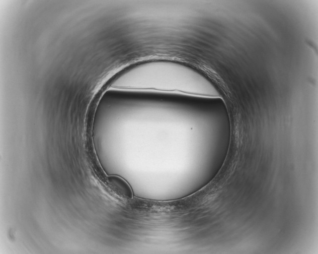 X0000100210484200805300729