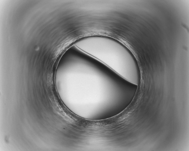 X0000100210485200805300729