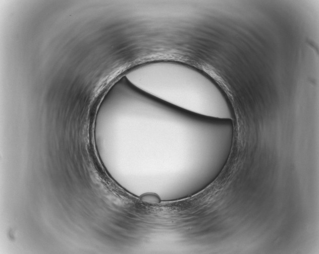 X0000100210486200805300729