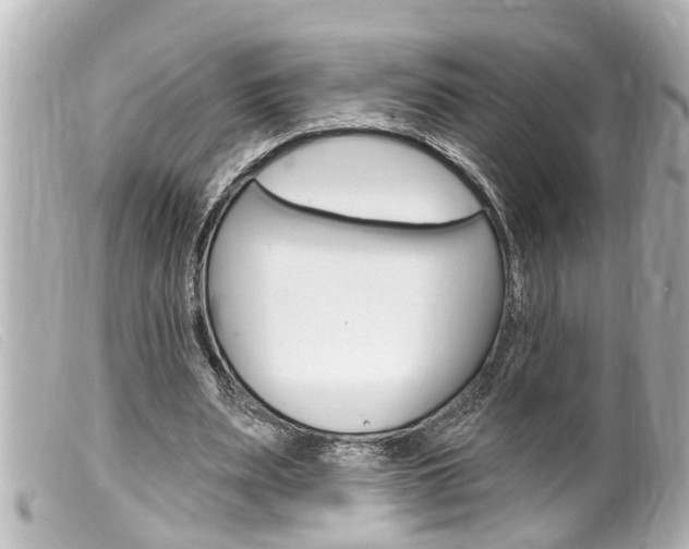 X0000100210487200805300729