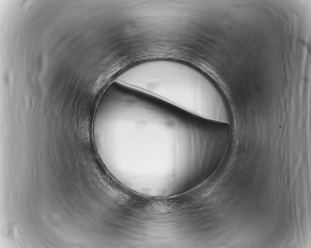 X0000100210489200805300729