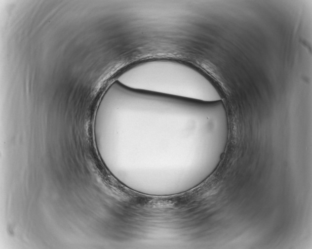 X0000100210491200805300729