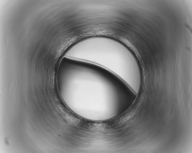 X0000100210493200805300729