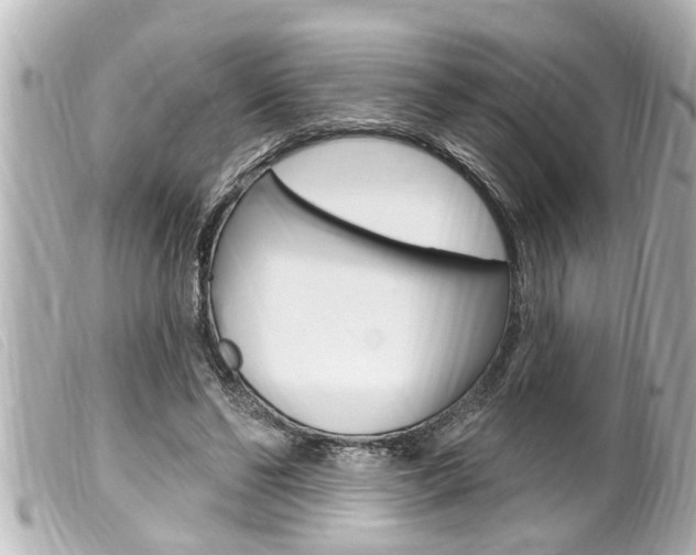 X0000100210494200805300729