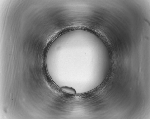 X0000100210496200805300729