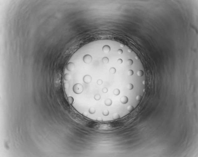 X0000100210507200805300728