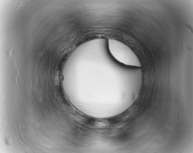 X0000100210510200805300728