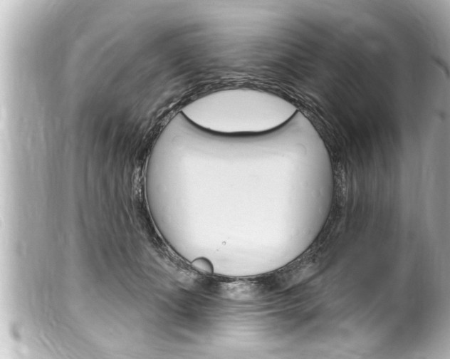 X0000100210511200805300728
