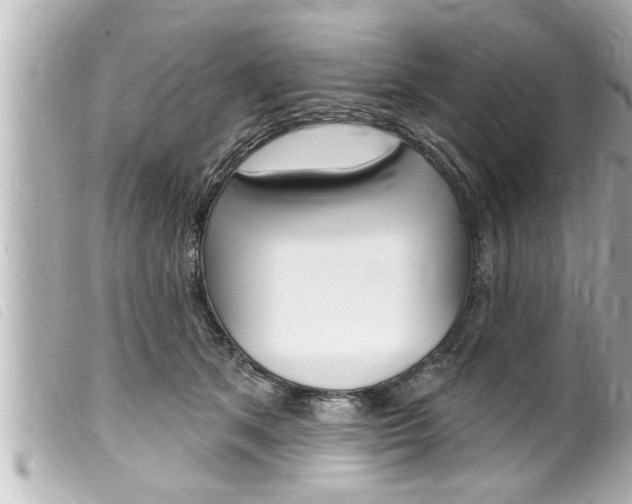 X0000100210513200805300728