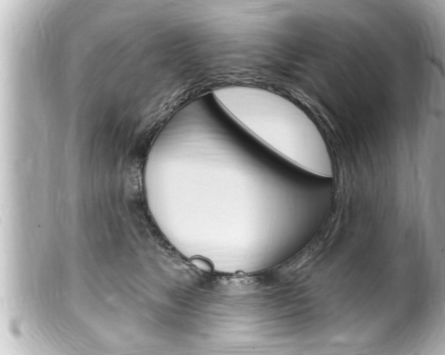 X0000100210517200805300728