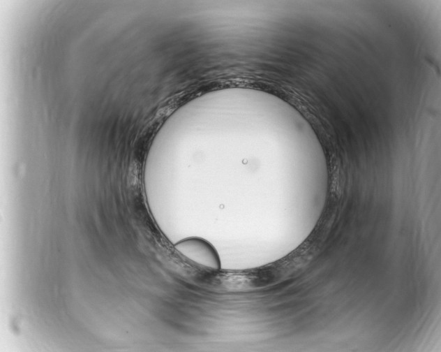 X0000100210518200805300728