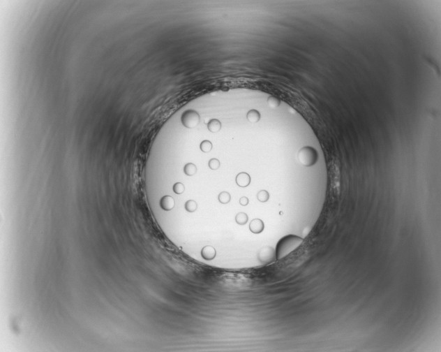 X0000100210519200805300728