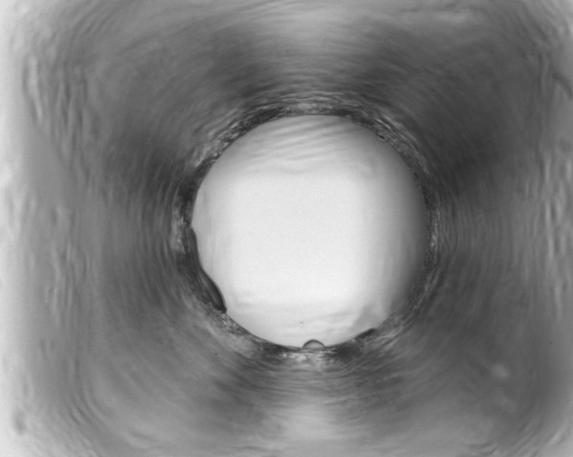 X0000100210524200805300728