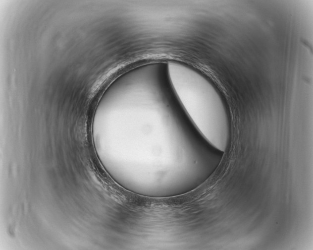 X0000100210531200805300728