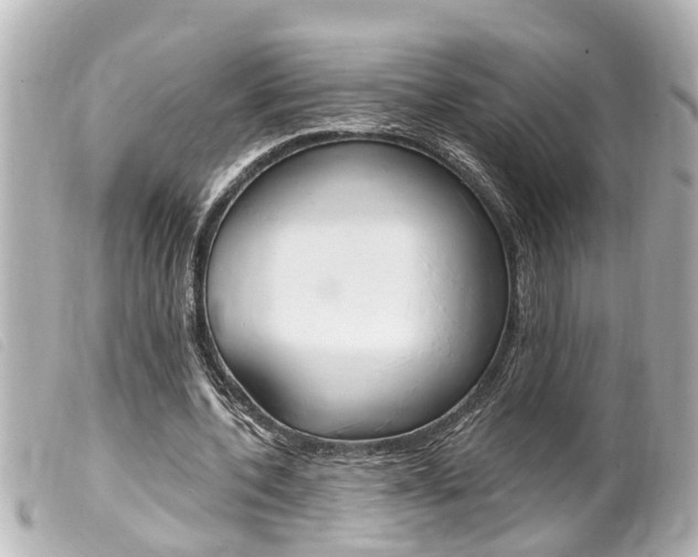 X0000100210532200805300728