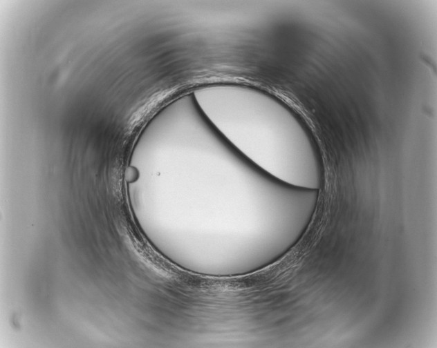 X0000100210533200805300728