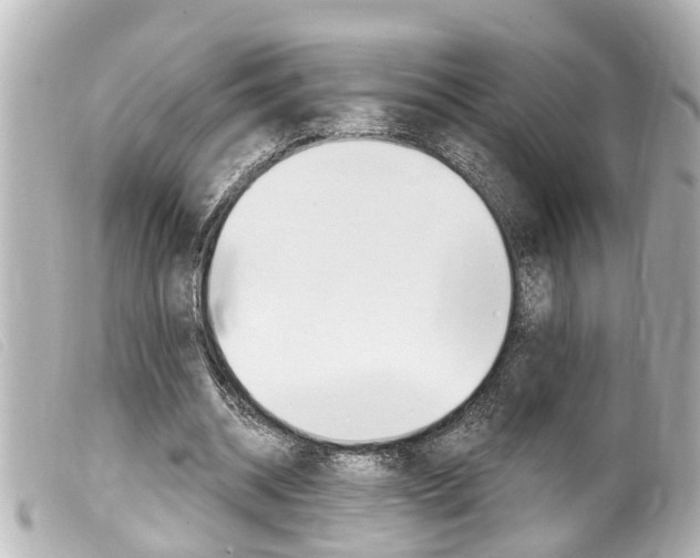 X0000100210534200805300728