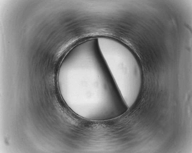X0000100210535200805300728