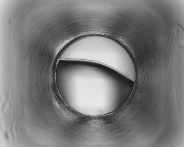 X0000100210536200805300728
