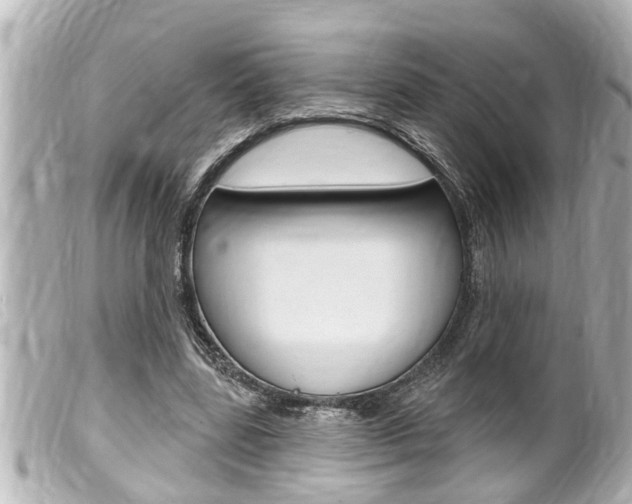 X0000100210539200805300728