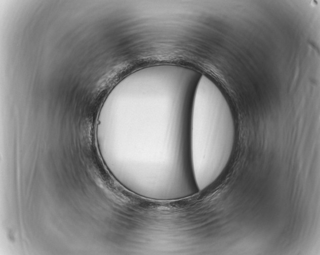X0000100210542200805300728
