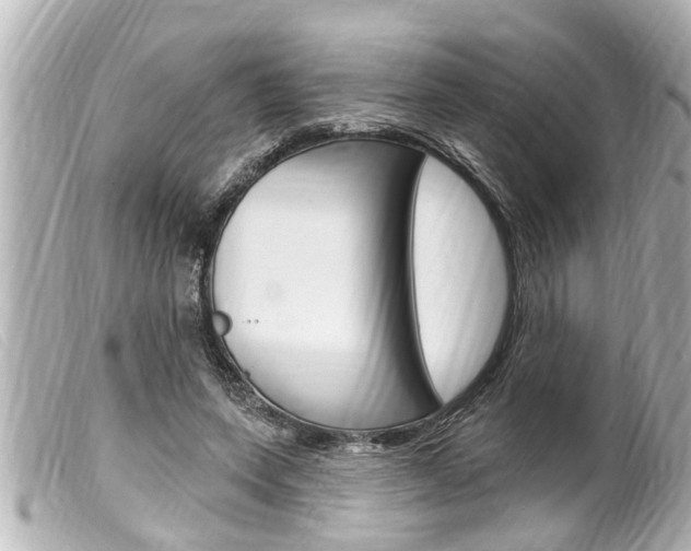 X0000100210543200805300728