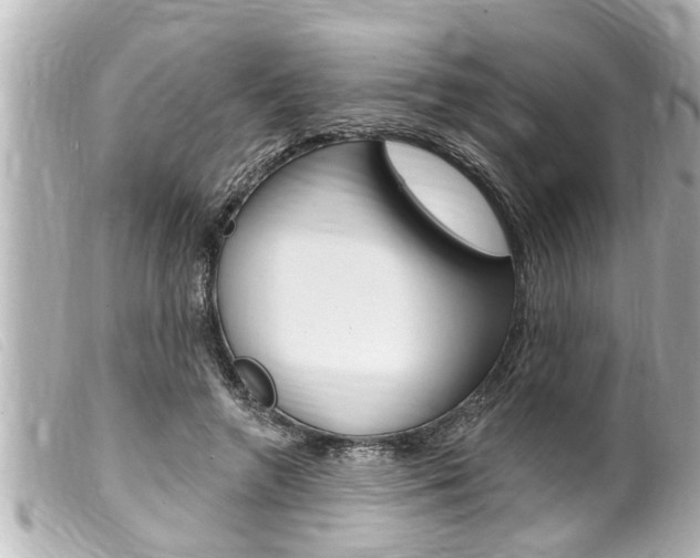 X0000100210546200805300728
