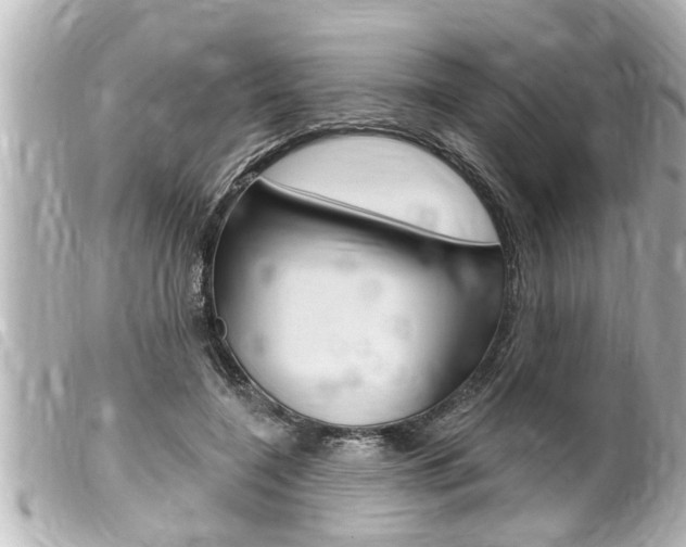 X0000100210548200805300728