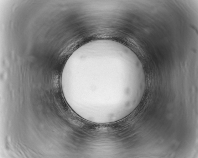 X0000100210549200805300728